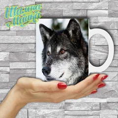  Animals 040 Волк 09